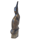Half size Bronze Cormorant