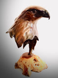 Bronze Golden Eagle Head by Sculptor Alan Glasby OBE GM - Open Edition