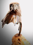 Bronze Golden Eagle Head by Sculptor Alan Glasby OBE GM - Open Edition