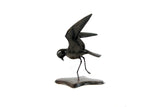 Bronze Storm Petrel by Alan Glasby OBE GM - Open Edition