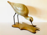 Bronze Avocet Feeding by Sculptor Alan Glasby OBE GM - Limited Edition