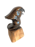 Bronze Peregrine Head by Sculptor Alan Glasby OBE GM - Open Edition