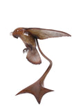 Life size Bronze Hovering Kestrel (Windhover)