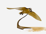 Bronze Barn Owl in flight 1/2 life size