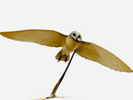 Bronze Barn Owl in flight 1/2 life size