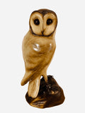 Bronze Barn Owl by Sculptor Andrew Glasby - Limited Edition
