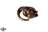 Bronze Sleeping Dormouse by Sculptor Andrew Glasby - Open Edition