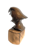 Bronze Peregrine Head by Sculptor Alan Glasby OBE GM - Open Edition