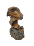 Peregrine Head by Sculptor Alan Glasby OBE GM - Open Edition