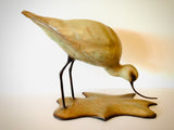 Bronze Avocet Feeding by Sculptor Alan Glasby OBE GM - Limited Edition
