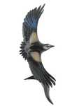 Bronze Great Spotted Woodpecker in flight